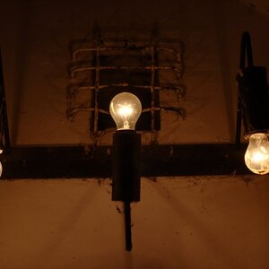 Lightbulbs